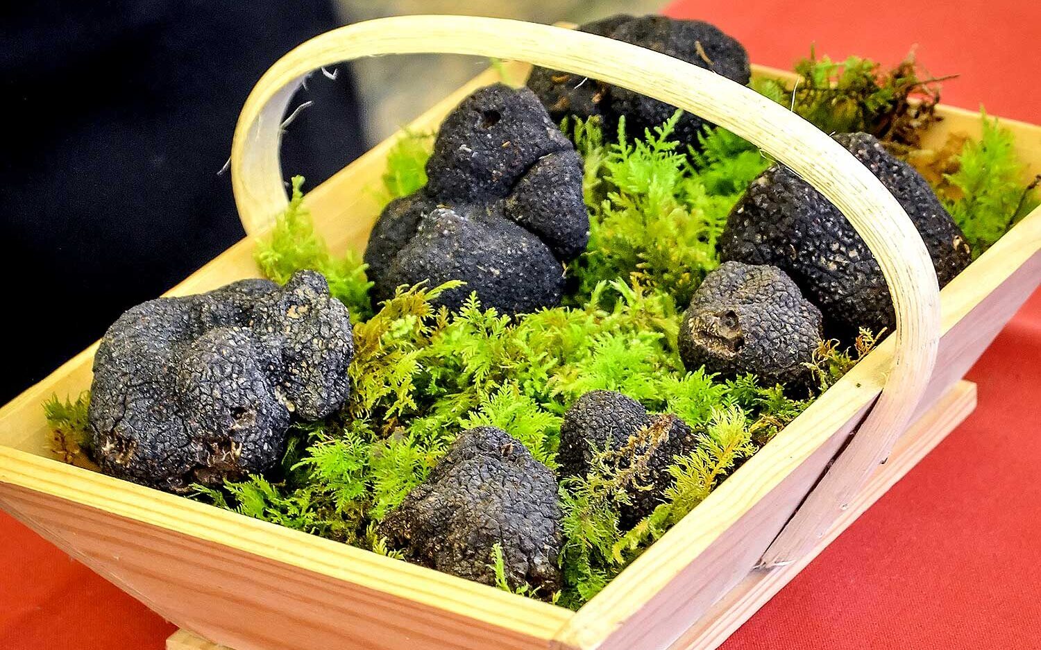 Lire la suite à propos de l’article Premières récoltes de truffes noires d’hiver fraîches du Périgord de la saison 2021/2022