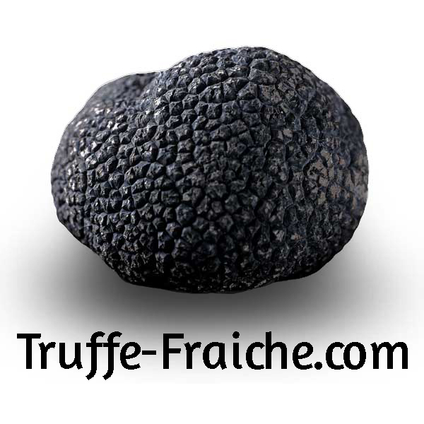 Truffe noire d'hiver fraîche - Tartufi e Sapori Shop online